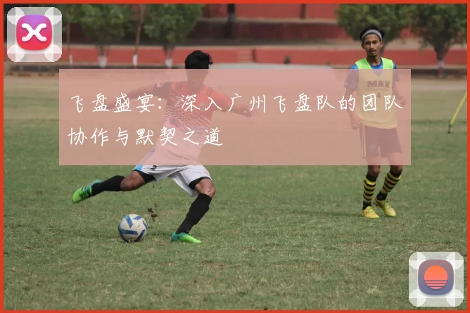 飞盘盛宴：深入广州飞盘队的团队协作与默契之道