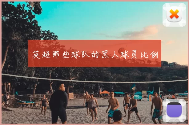 英超那些球队的黑人球员比例