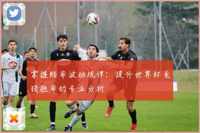 掌握赔率波动规律：提升世界杯竞猜胜率的专业分析
