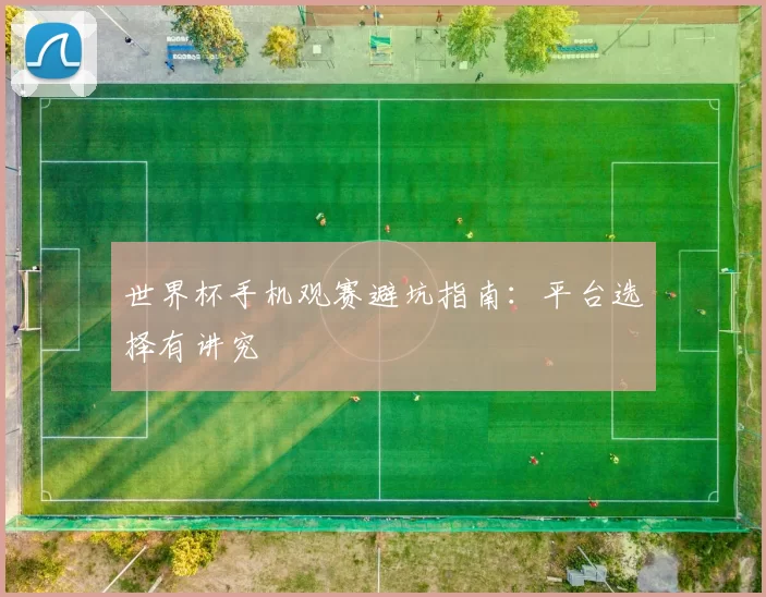 世界杯手机观赛避坑指南：平台选择有讲究