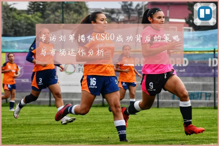 专访刘军揭秘CSGO成功背后的策略与市场运作分析