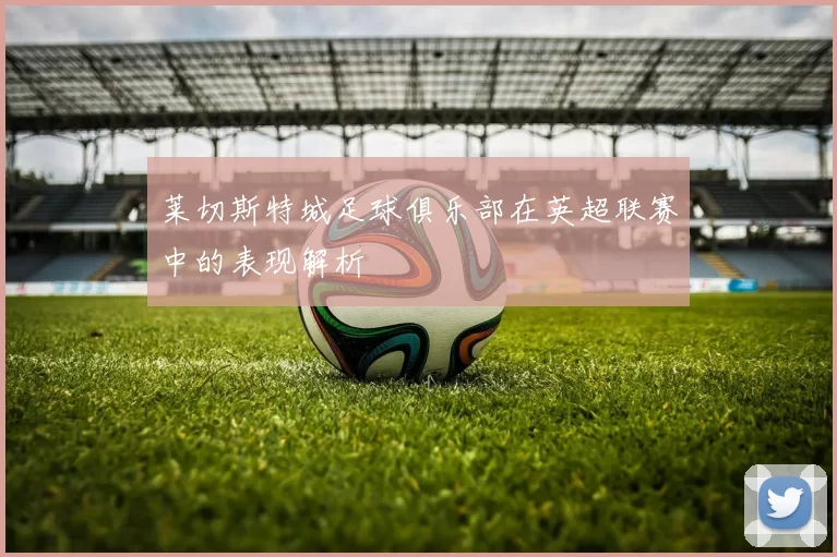 莱切斯特城足球俱乐部在英超联赛中的表现解析