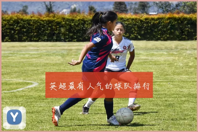英超最有人气的球队排行