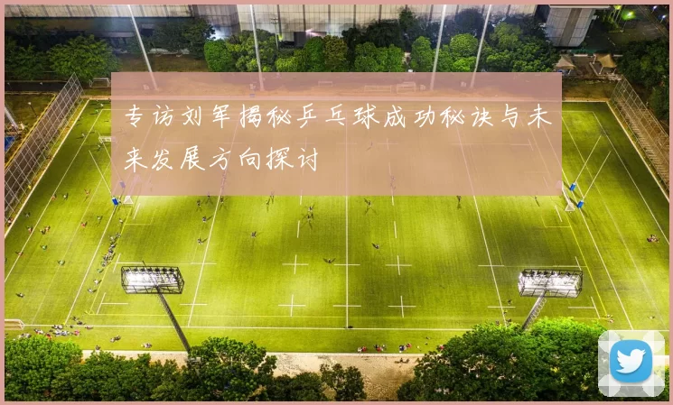 专访刘军揭秘乒乓球成功秘诀与未来发展方向探讨