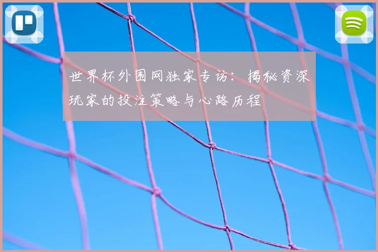 世界杯外围网独家专访：揭秘资深玩家的投注策略与心路历程