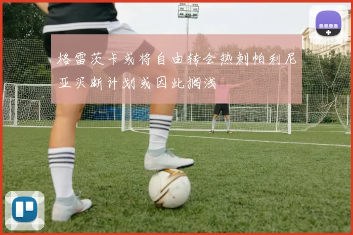 格雷茨卡或将自由转会热刺帕利尼亚买断计划或因此搁浅