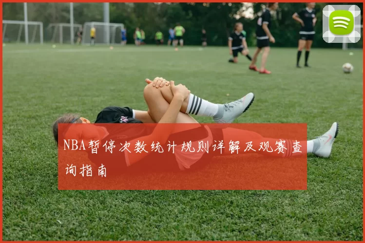 NBA暂停次数统计规则详解及观赛查询指南