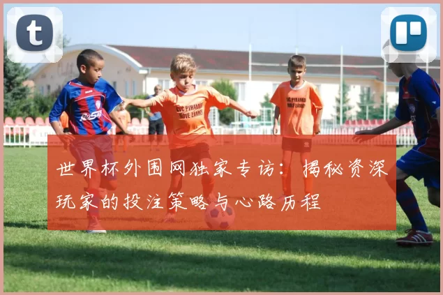 世界杯外围网独家专访：揭秘资深玩家的投注策略与心路历程