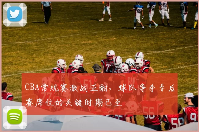 CBA常规赛激战正酣，球队争夺季后赛席位的关键时期已至